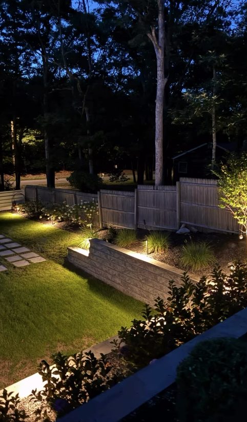 Uplit tree along a fenced side yard at night