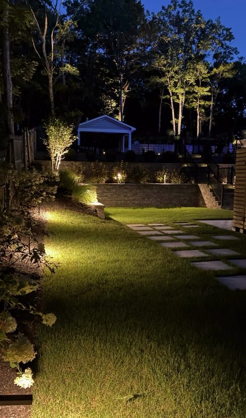 Uplit trees and path lighting along a backyard walkway at night